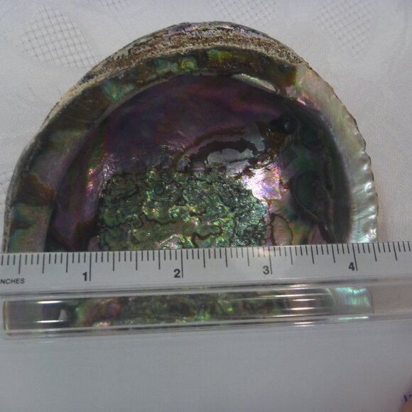 2 pcs Set Large Abalone Seashell Sea Snail Shell Smudge Smudging Bowl décor - Picture 7 of 11